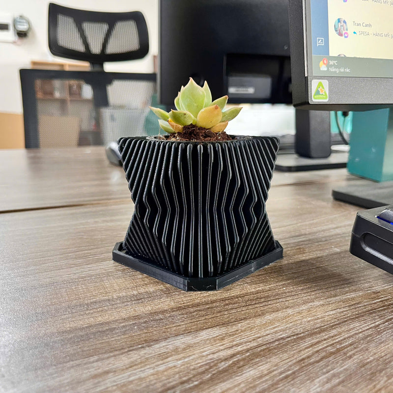 Live Succulents Plants in Geometric plant pot - Live Succulents Randomly Picked