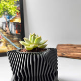 Live Succulents Plants in Geometric plant pot - Live Succulents Randomly Picked