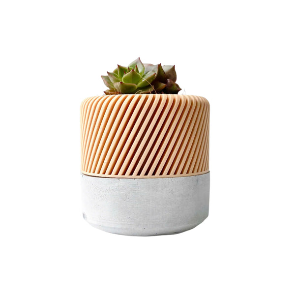 Succulent Planter with Hidden Drip Tray - Live Succulents Randomly Picked