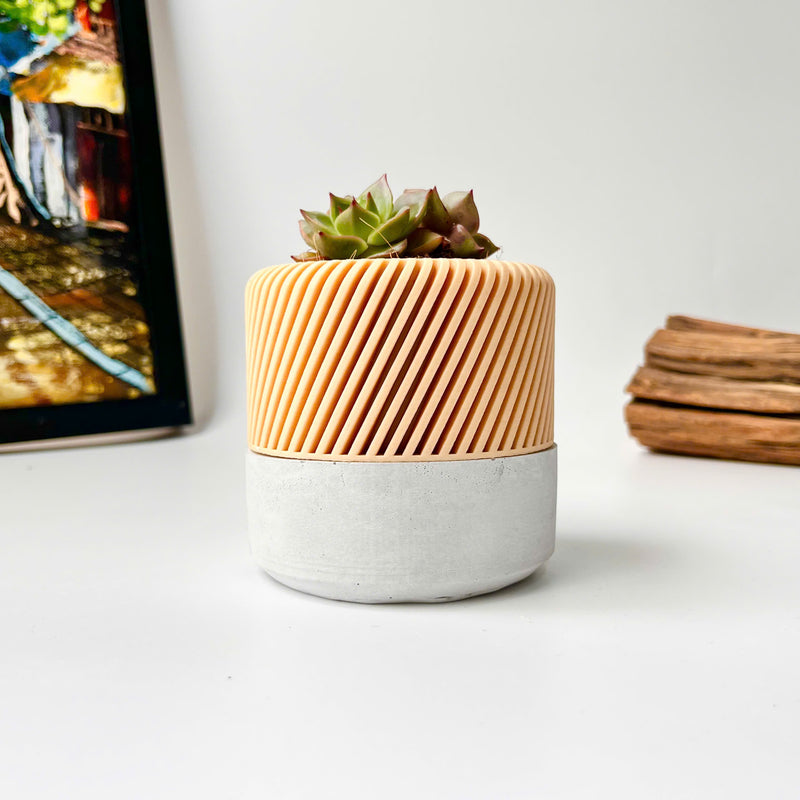 Succulent Planter with Hidden Drip Tray - Live Succulents Randomly Picked