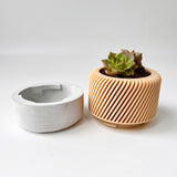 Succulent Planter with Hidden Drip Tray - Live Succulents Randomly Picked