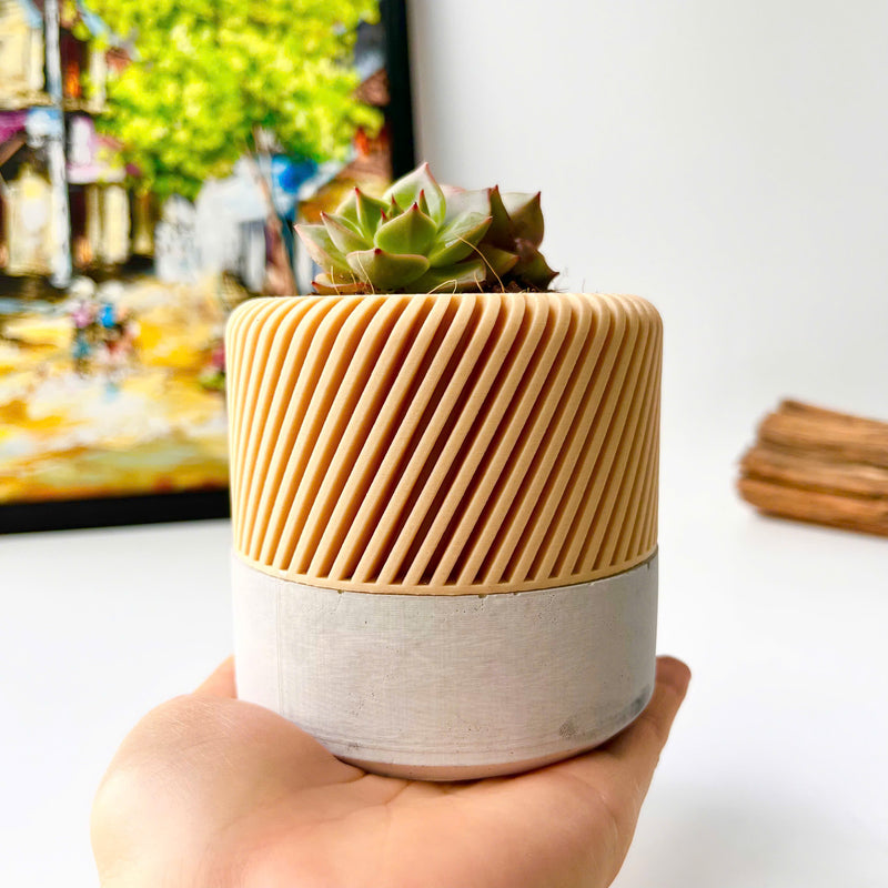 Succulent Planter with Hidden Drip Tray - Live Succulents Randomly Picked