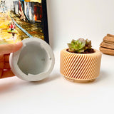 Succulent Planter with Hidden Drip Tray - Live Succulents Randomly Picked