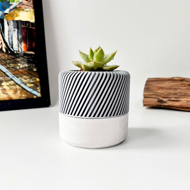 Succulent Planter with Hidden Drip Tray - Live Succulents Randomly Picked