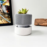 Succulent Planter with Hidden Drip Tray - Live Succulents Randomly Picked