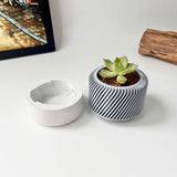 Succulent Planter with Hidden Drip Tray - Live Succulents Randomly Picked