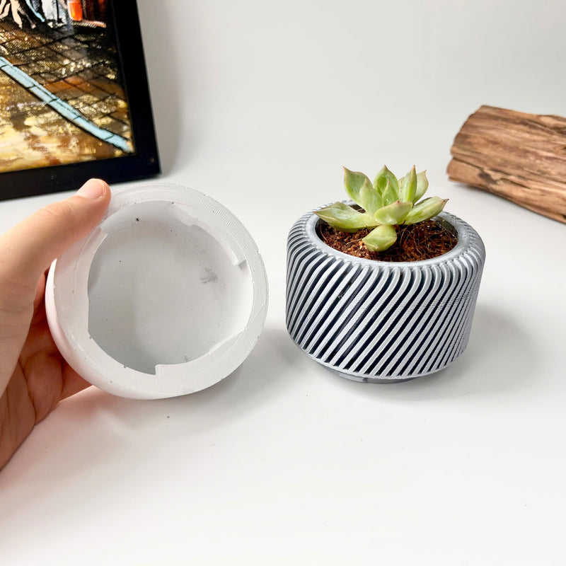 Succulent Planter with Hidden Drip Tray - Live Succulents Randomly Picked