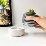 Succulent Planter with Hidden Drip Tray - Live Succulents Randomly Picked