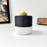 Succulent Planter with Hidden Drip Tray - Live Succulents Randomly Picked