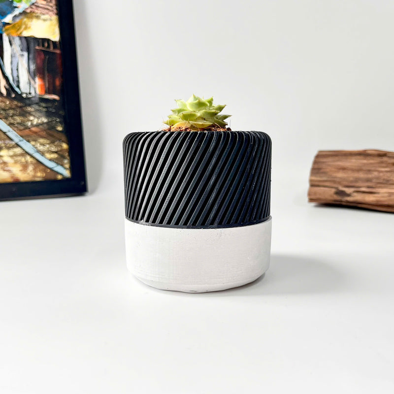 Succulent Planter with Hidden Drip Tray - Live Succulents Randomly Picked