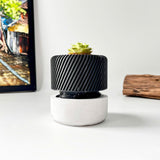 Succulent Planter with Hidden Drip Tray - Live Succulents Randomly Picked