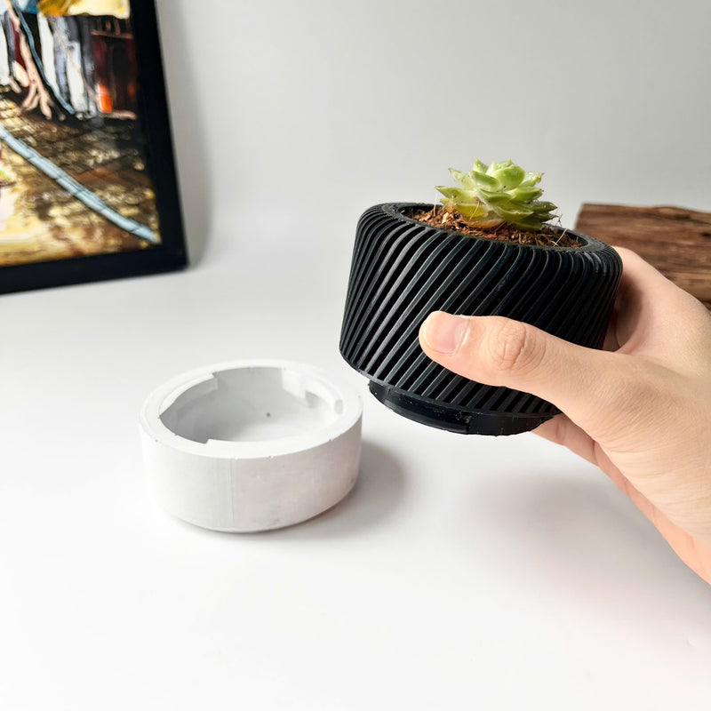 Succulent Planter with Hidden Drip Tray - Live Succulents Randomly Picked