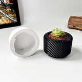 Succulent Planter with Hidden Drip Tray - Live Succulents Randomly Picked