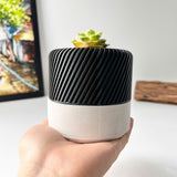 Succulent Planter with Hidden Drip Tray - Live Succulents Randomly Picked