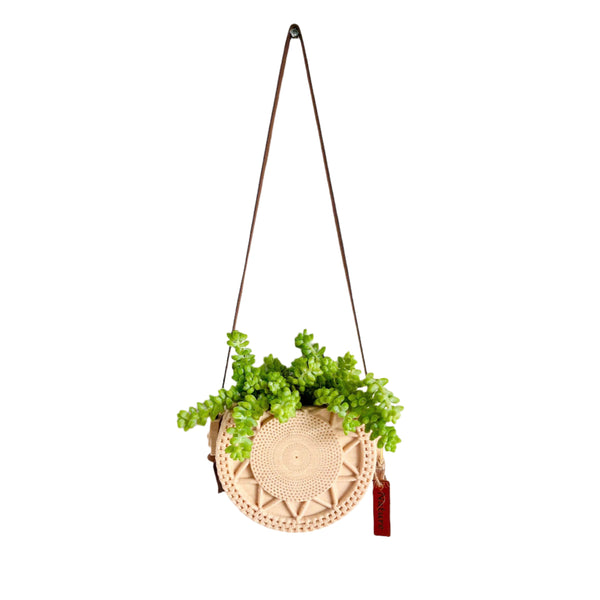 Sedum Donkey's Tail Succulent in Unique Wall Planter Succulent Plant with Hanger