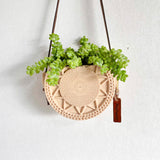 Sedum Donkey's Tail Succulent in Unique Wall Planter Succulent Plant with Hanger