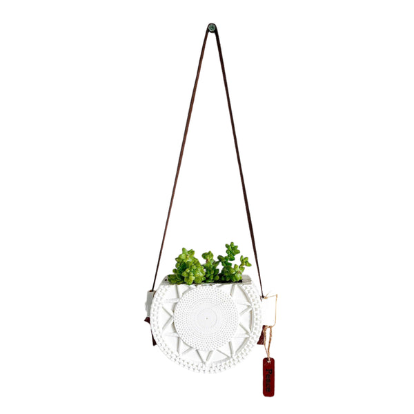 Sedum Donkey's Tail Succulent in Decorative Wall Hanging Planter