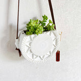 Sedum Donkey's Tail Succulent in Decorative Wall Hanging Planter