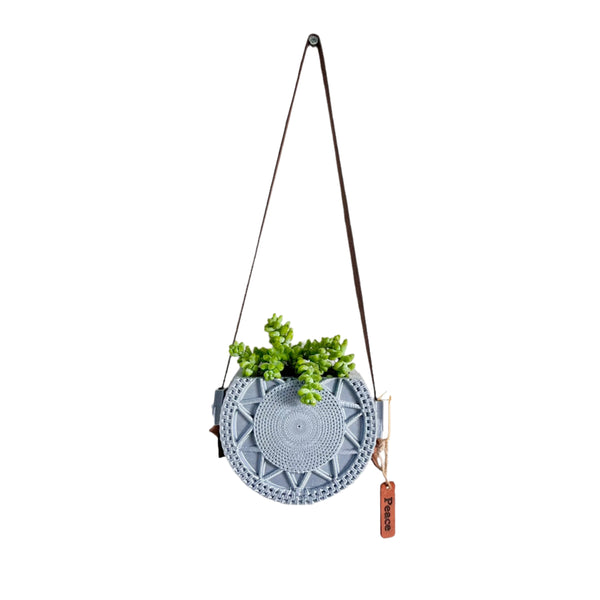 Sedum Donkey's Tail Succulent with Stylish Hanging Wall Display