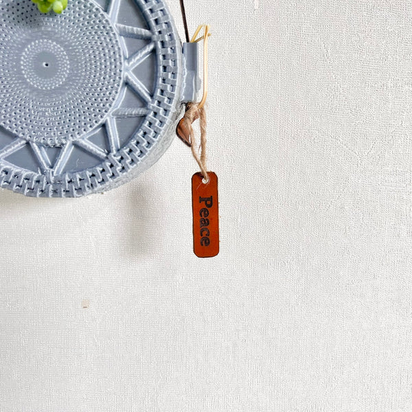 Sedum Donkey's Tail Succulent with Stylish Hanging Wall Display
