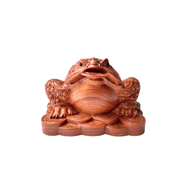 Feng Shui Money Toad Holding a Gold Coin – Symbol of Prosperity and Good Fortune