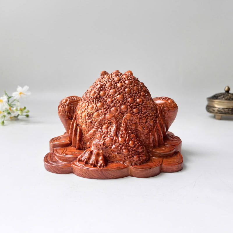Feng Shui Money Toad Holding a Gold Coin – Symbol of Prosperity and Good Fortune