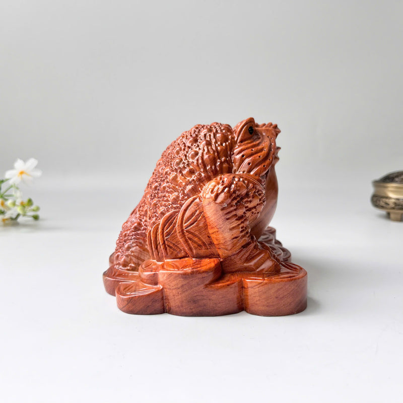 Feng Shui Money Toad Holding a Gold Coin – Symbol of Prosperity and Good Fortune