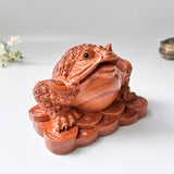 Feng Shui Money Toad Holding a Gold Coin – Symbol of Prosperity and Good Fortune