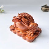 Feng Shui Money Toad Holding a Gold Coin – Symbol of Prosperity and Good Fortune