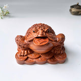 Feng Shui Money Toad Holding a Gold Coin – Symbol of Prosperity and Good Fortune