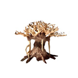 4" Bonsai Driftwood for Aquarium