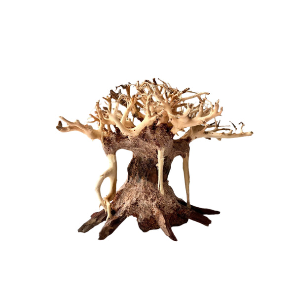 4" Bonsai Driftwood for Aquarium