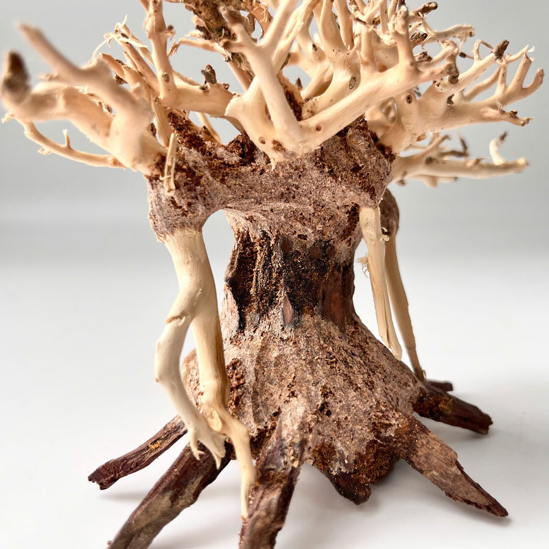 4" Bonsai Driftwood for Aquarium