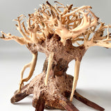 4" Bonsai Driftwood for Aquarium