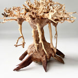4" Bonsai Driftwood for Aquarium