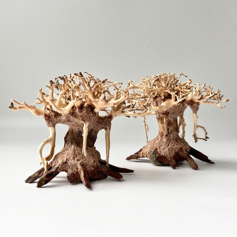 4" Bonsai Driftwood for Aquarium