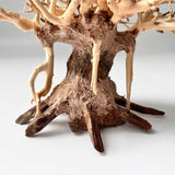 4" Bonsai Driftwood for Aquarium