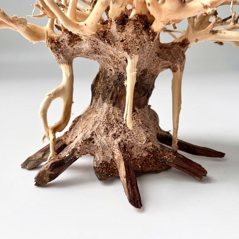 4" Bonsai Driftwood for Aquarium