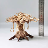 4" Bonsai Driftwood for Aquarium