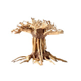 6" Bonsai Driftwood for Aquarium