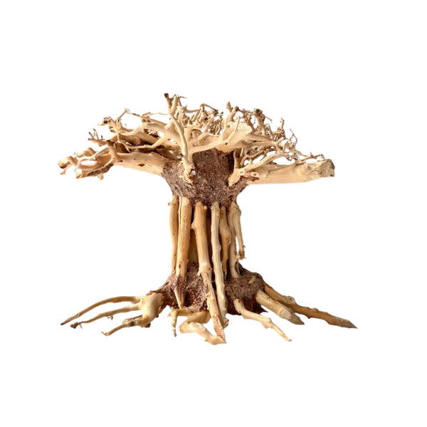 6" Bonsai Driftwood for Aquarium