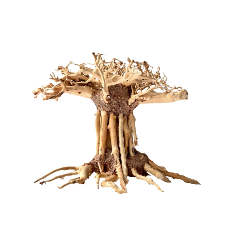 6" Bonsai Driftwood for Aquarium