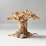 6" Bonsai Driftwood for Aquarium