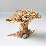 6" Bonsai Driftwood for Aquarium