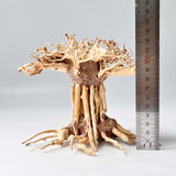 6" Bonsai Driftwood for Aquarium