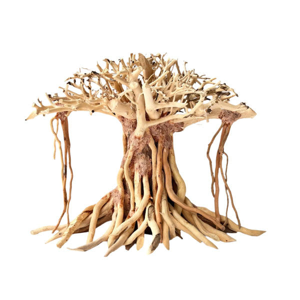 8" Driftwood Bonsai – Banyan Tree Style Decorative Sculpture