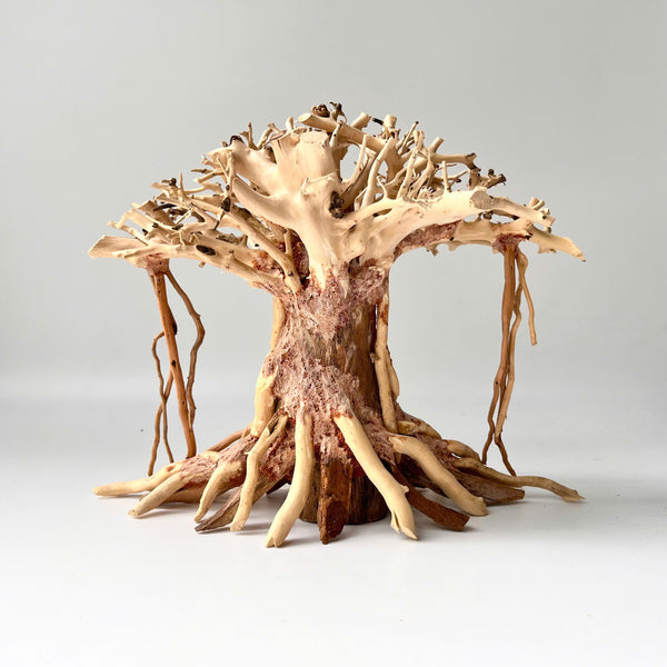 8" Driftwood Bonsai – Banyan Tree Style Decorative Sculpture