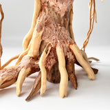 8" Driftwood Bonsai – Banyan Tree Style Decorative Sculpture