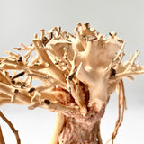 8" Driftwood Bonsai – Banyan Tree Style Decorative Sculpture