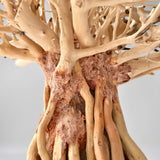 8" Driftwood Bonsai – Banyan Tree Style Decorative Sculpture